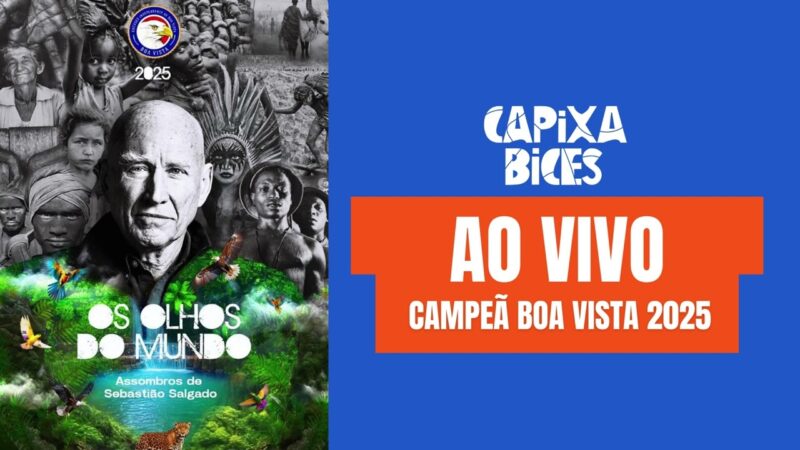 CAMPEÃ BOA VISTA 2025: SAMBA AO VIVO NO DESFILE | Carnaval de Vitória 2025 (Liesge)