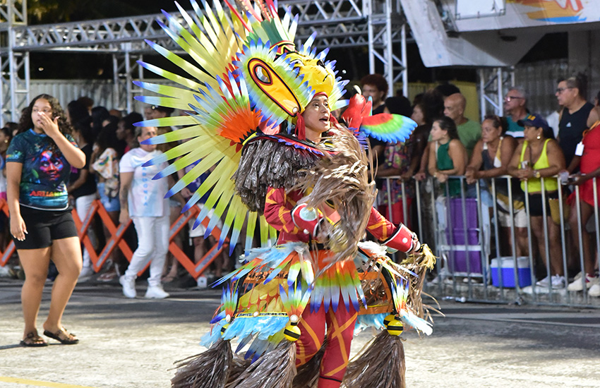 Uma das fantasias que a Novo Império vai levar para avenida no Carnaval de Vitória 2026
