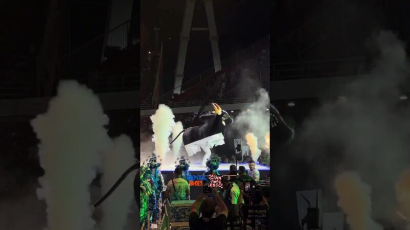 Evolução do BOI CAPRICHOSO na arena
