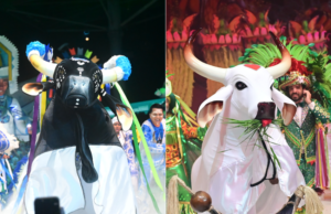 Caprichoso e Garantido: os protagonistas do Festival de Parintins