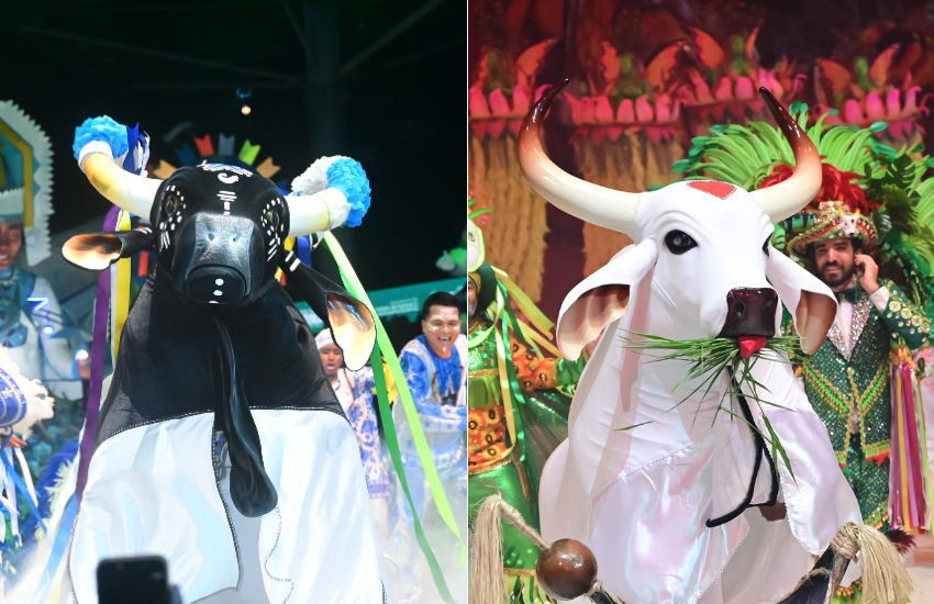 Caprichoso e Garantido: os protagonistas do Festival de Parintins